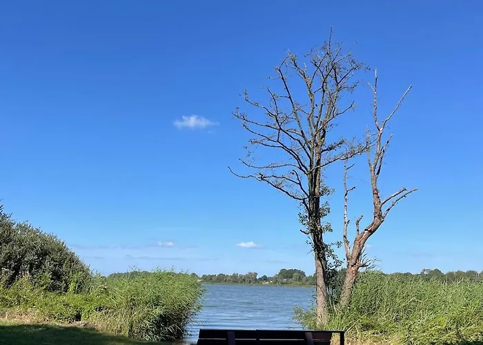 Seeschön - Im Grünen Zwischen Und *