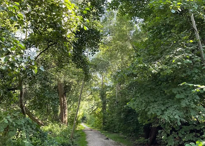 Seeschön - Im Grünen Zwischen Und * Ratekau